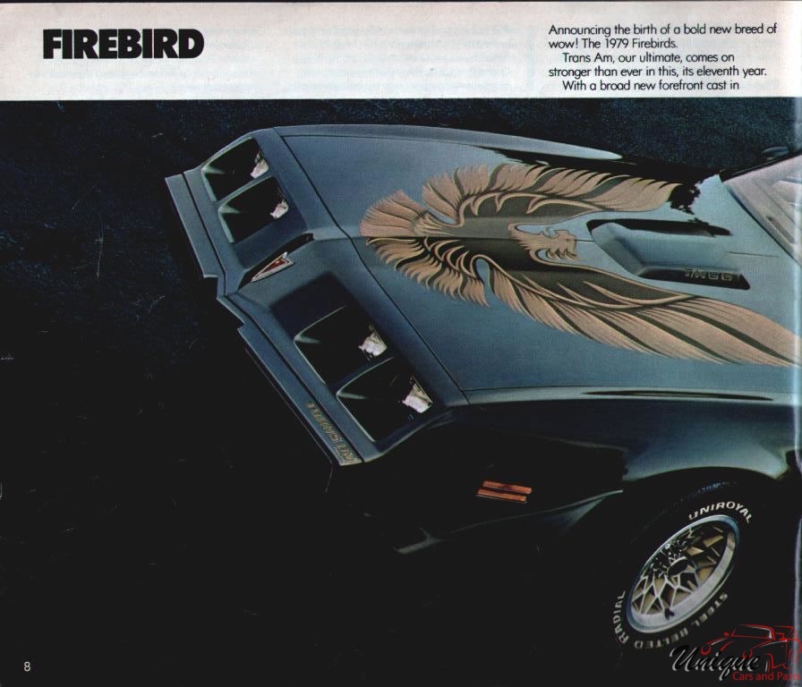 1979 Pontiac Brochure Page 5